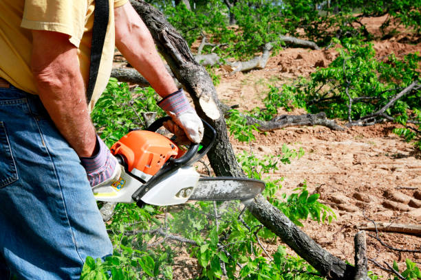 Best Emergency Tree Service  in Wingdale, NY